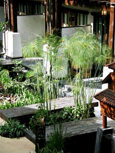 Yantarasri Resort