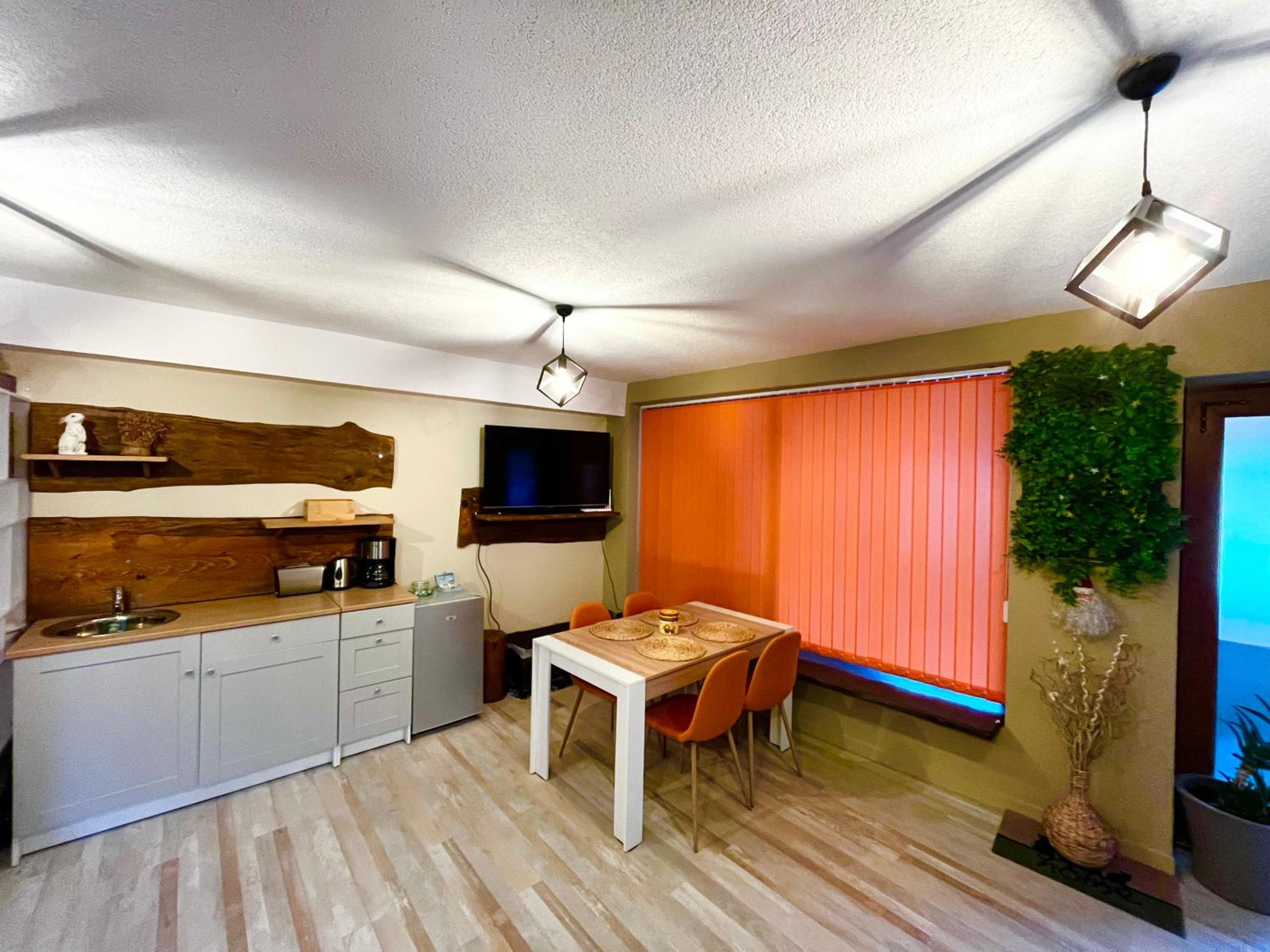 Roots Apartment 2 view 4