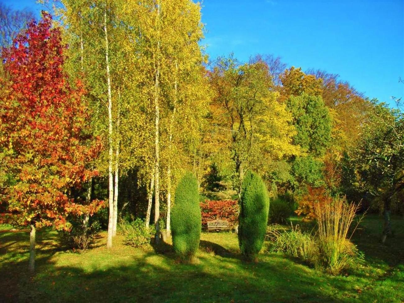 Ostsee Hotel-Pension An der Lindenallee