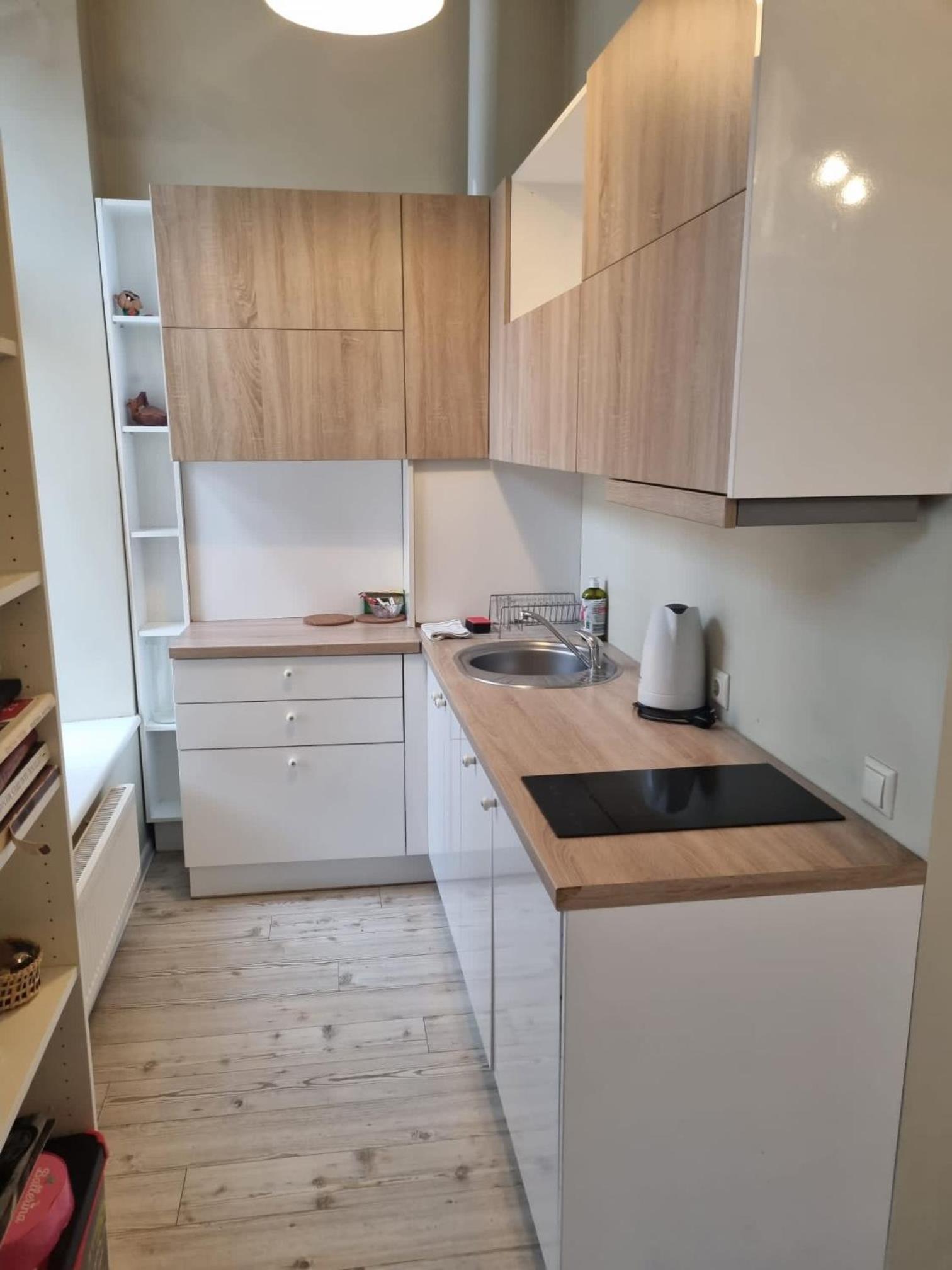 Igo apartment Uzupis