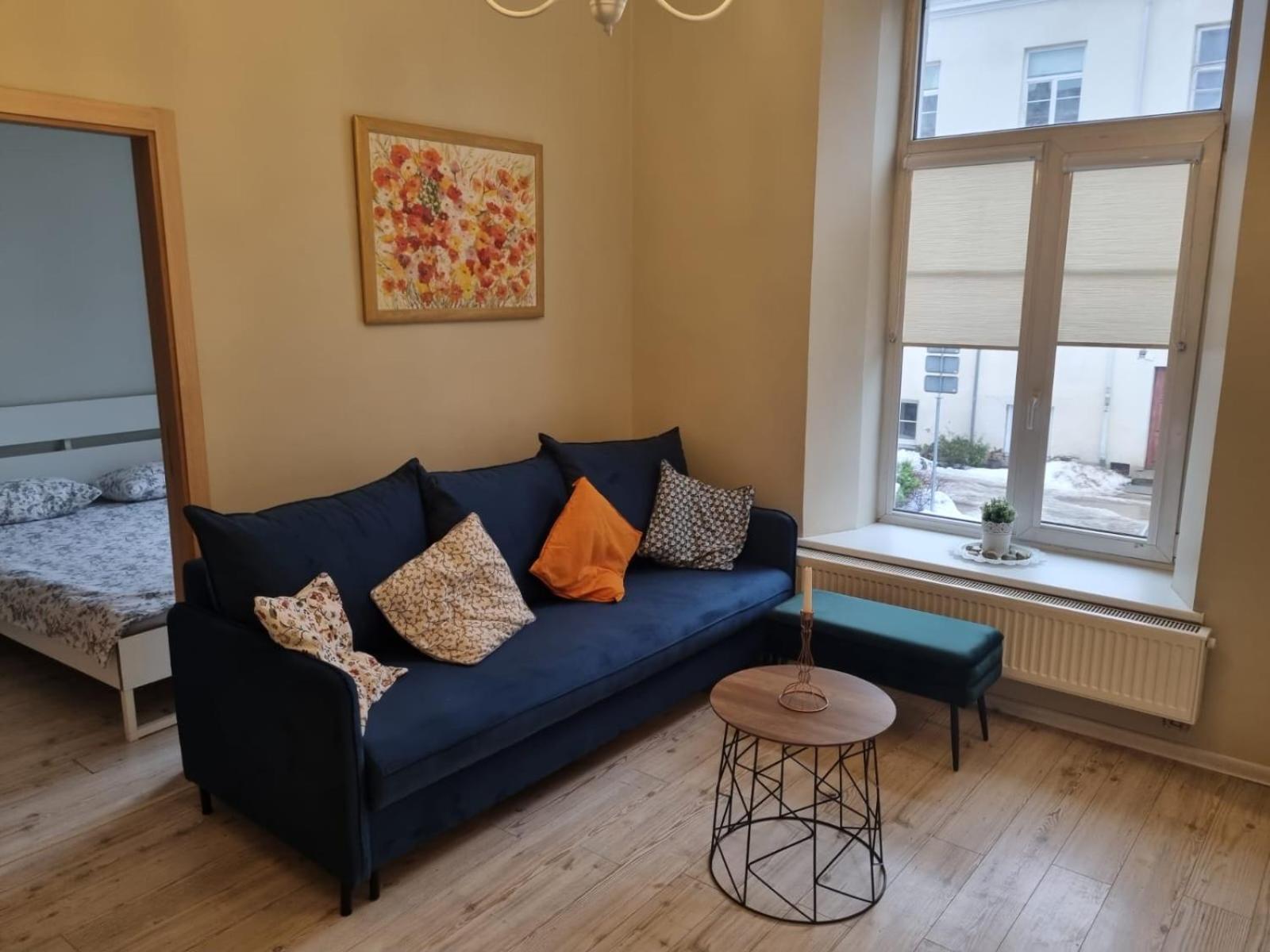 Igo apartment Uzupis