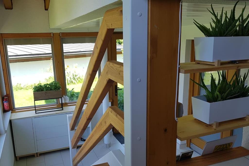 Appartment WALD byTILLY - Gemütliches Studio mit kleiner Dachterrasse, Waldrandlage & Parkplatz nahe Velden und Wörthersee