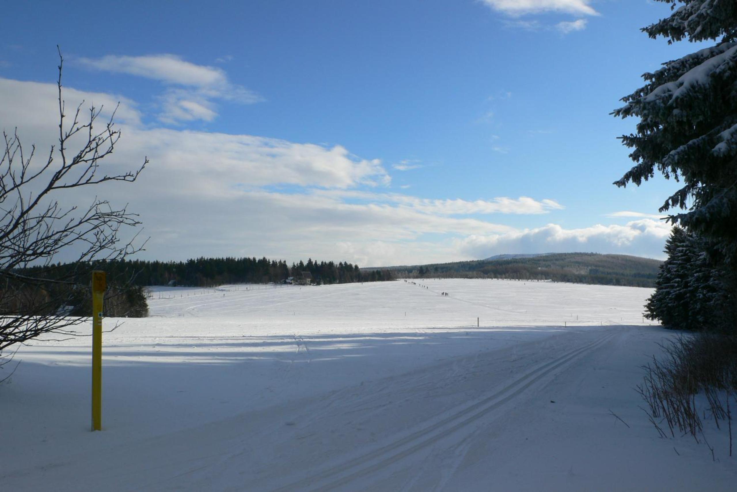 Ferienhaus Schellerhäusl