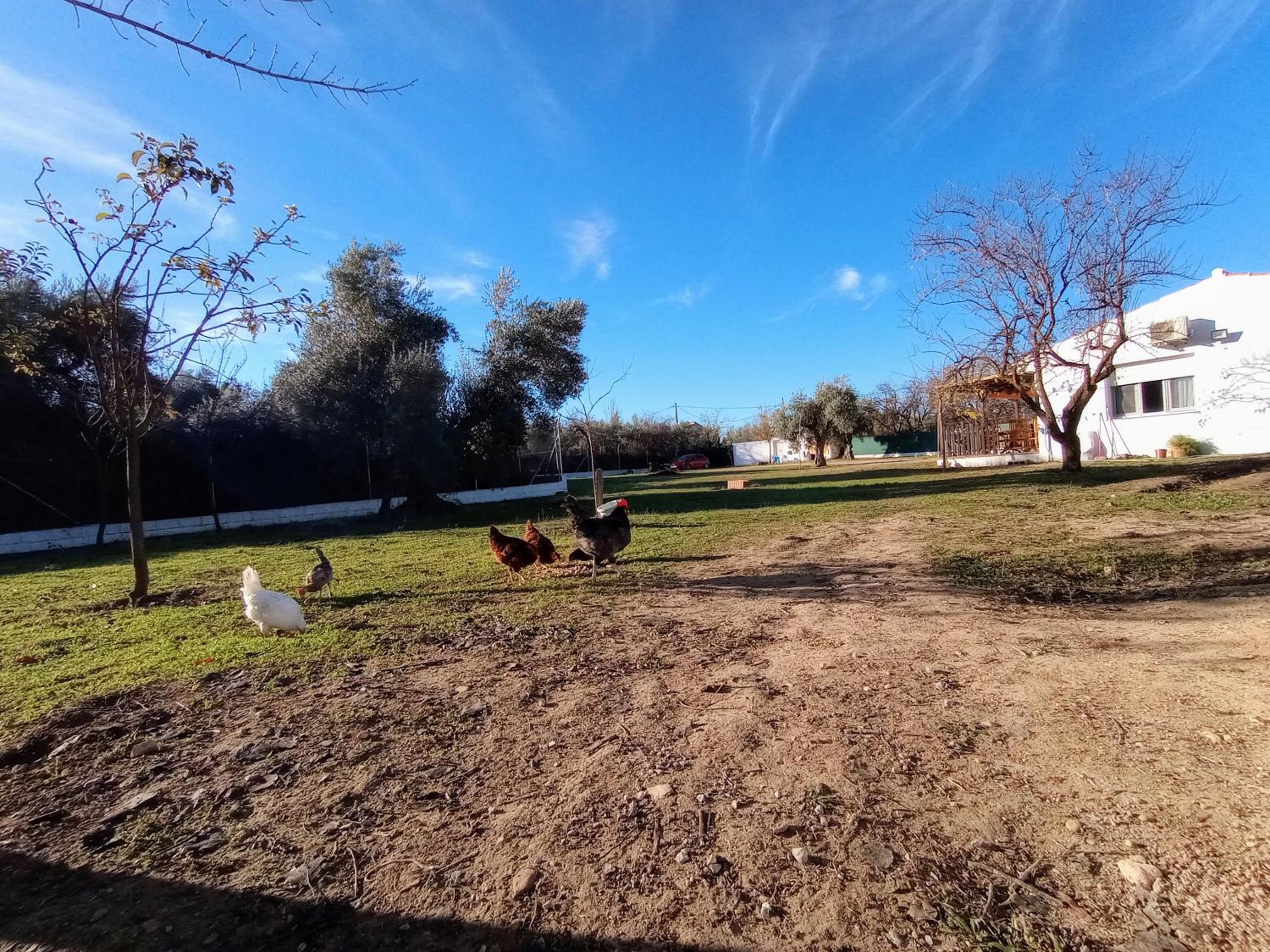 Casa de Campo Los Manueles Ideal Perros Pet Friendly