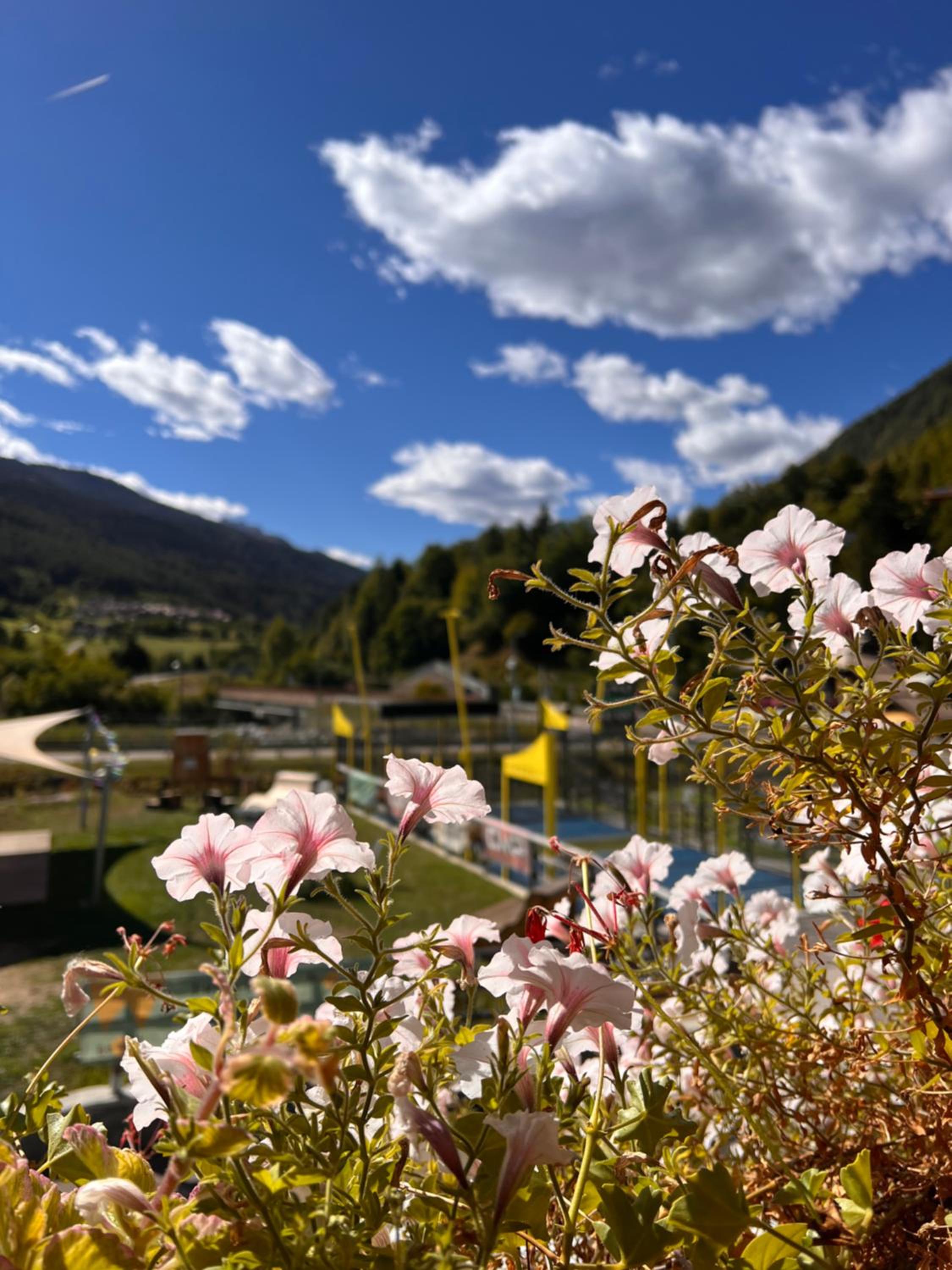 Camping Dolomiti