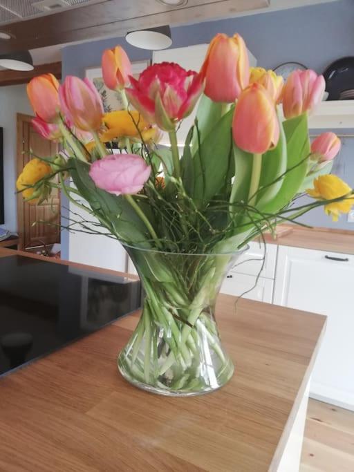 NEU Ferienwohnung an der Landbäckerei