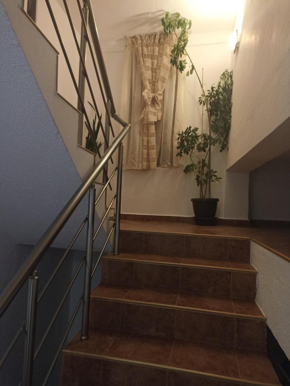 Petar Guest House view 2