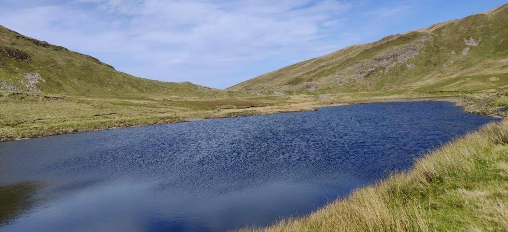 Barlwyd Glamping