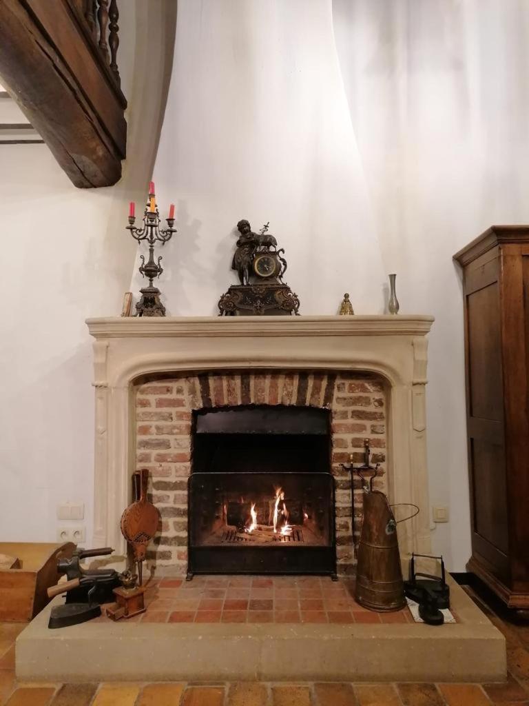 Au détour du vieux hêtre