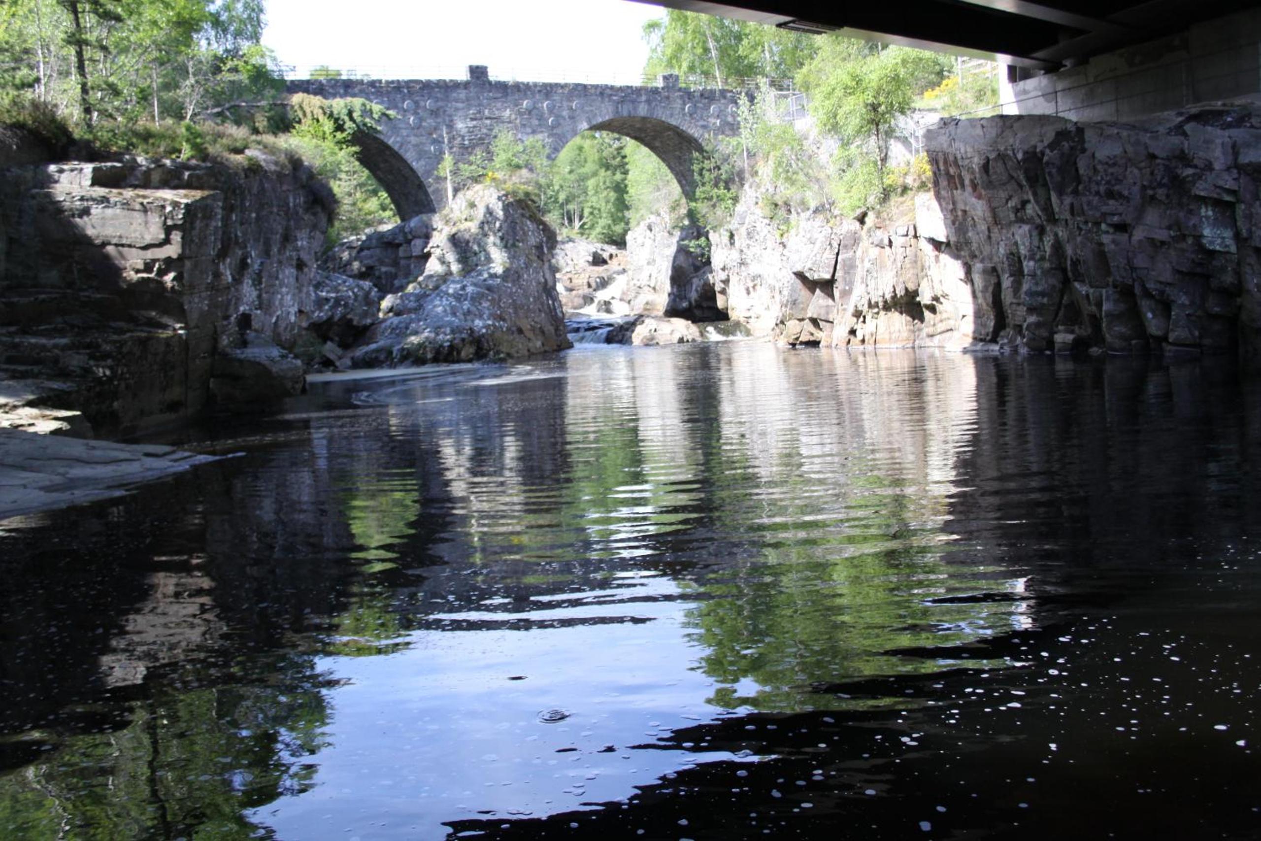 Photo 25