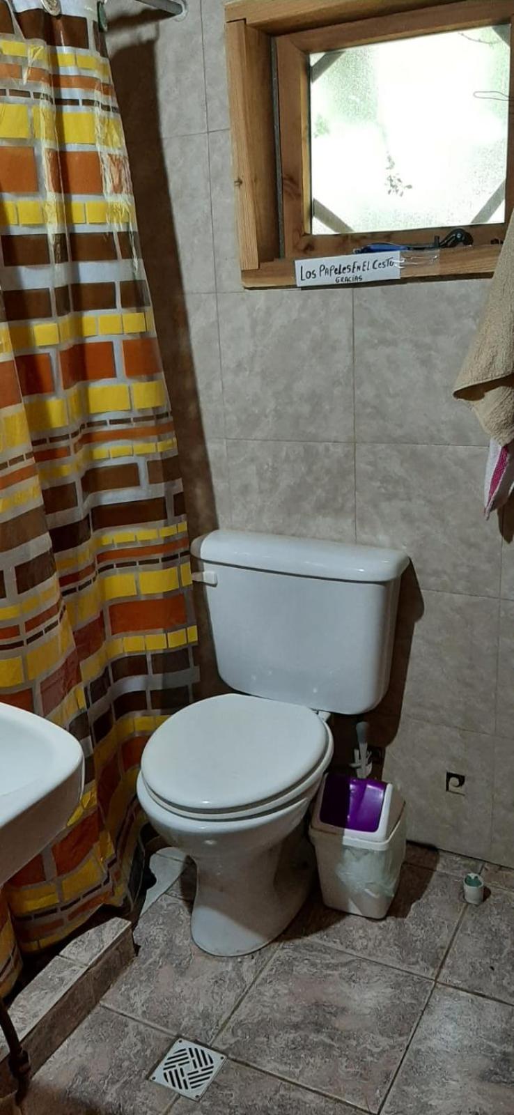 CHOIQUE CABAÑAS 2