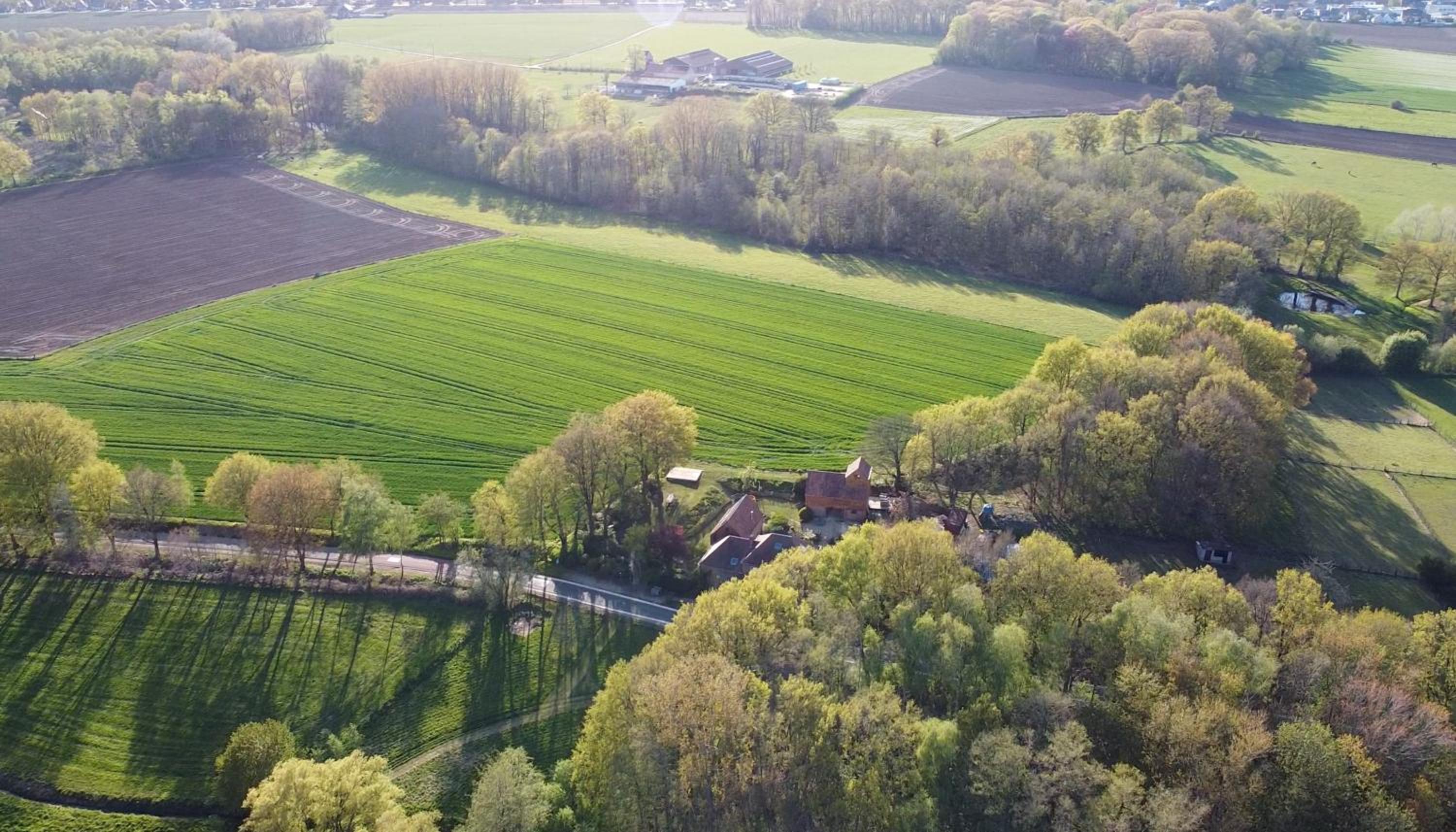 Lodge op de Berg