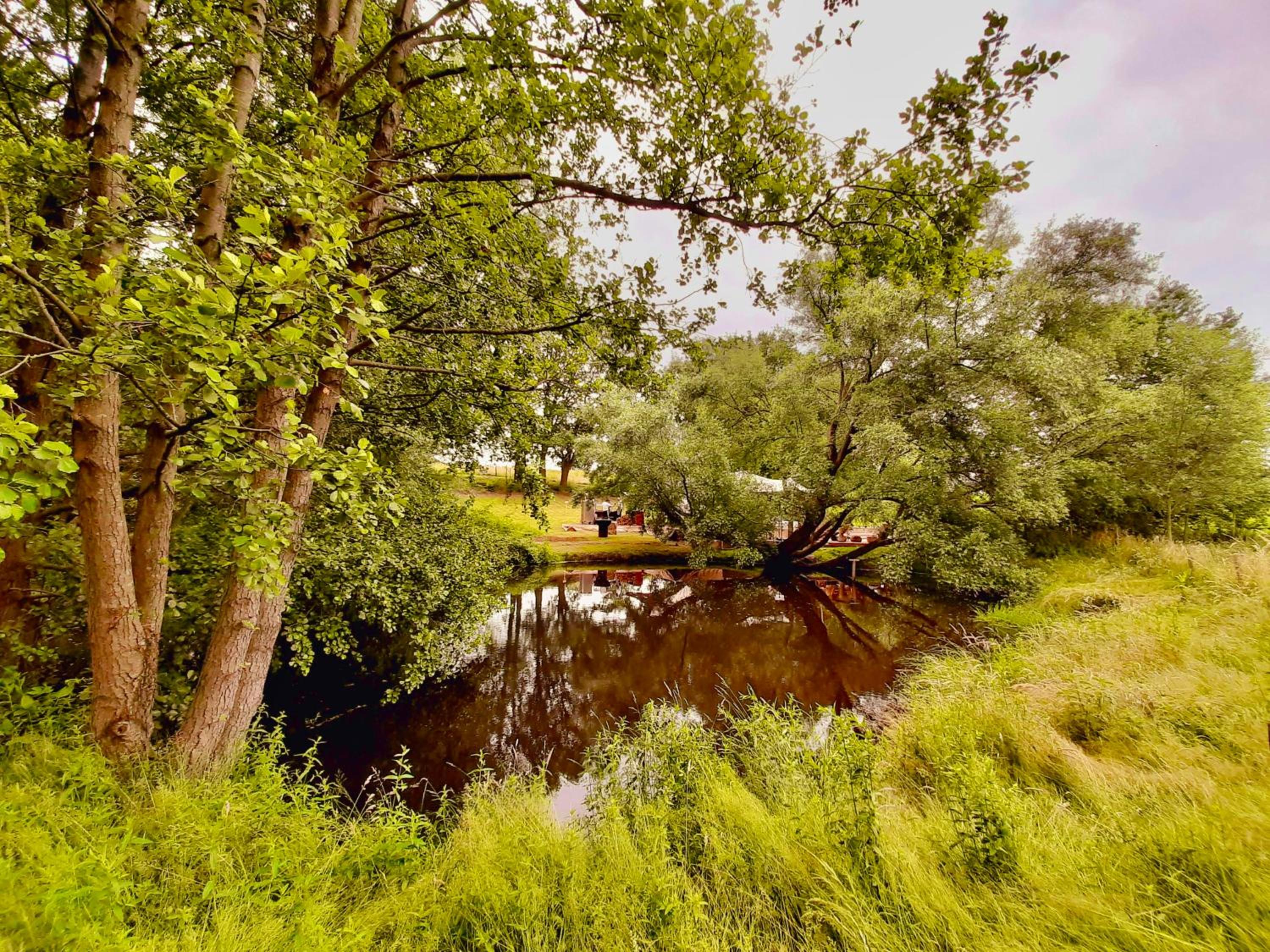 Lodge op de Berg