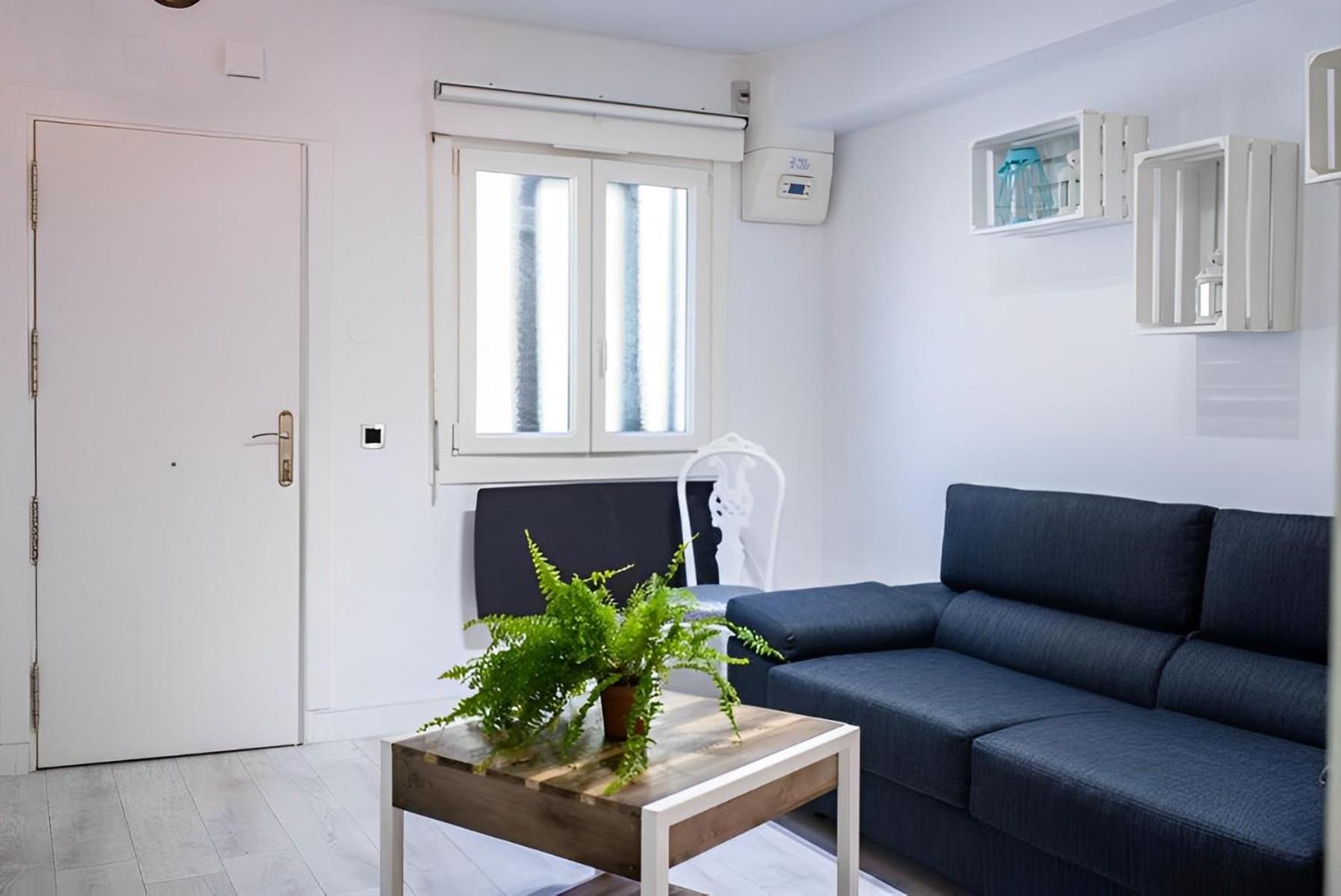 Apartamento Aldako by SanSe Holidays view 3