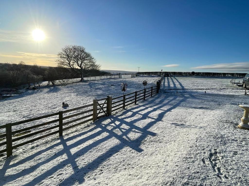 Folly Hall Farm