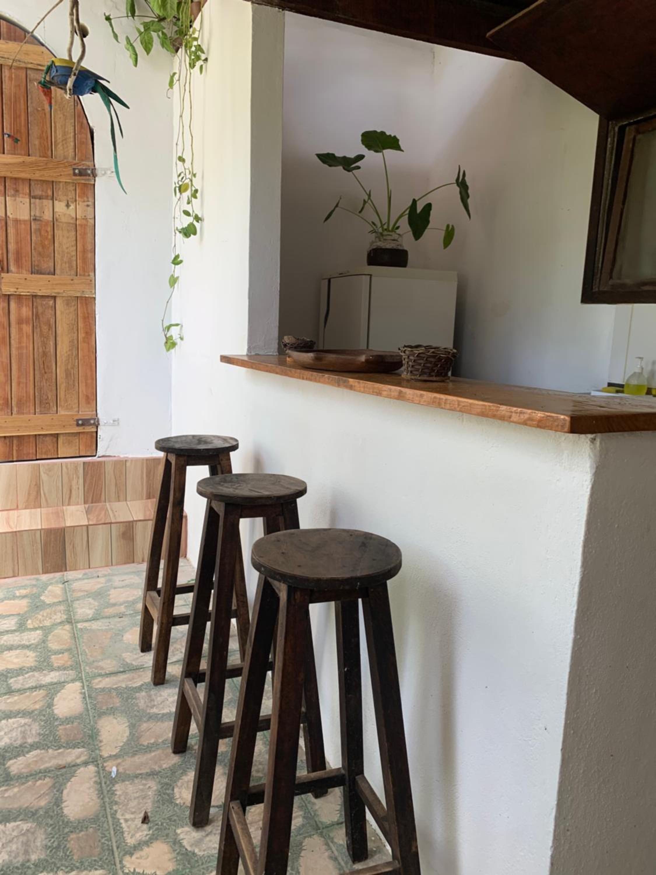Conjunto Sol Roots