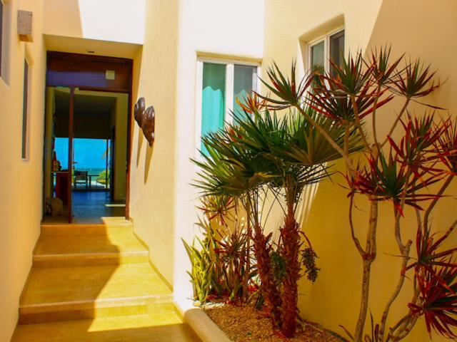 Hidra luxurious accommodation