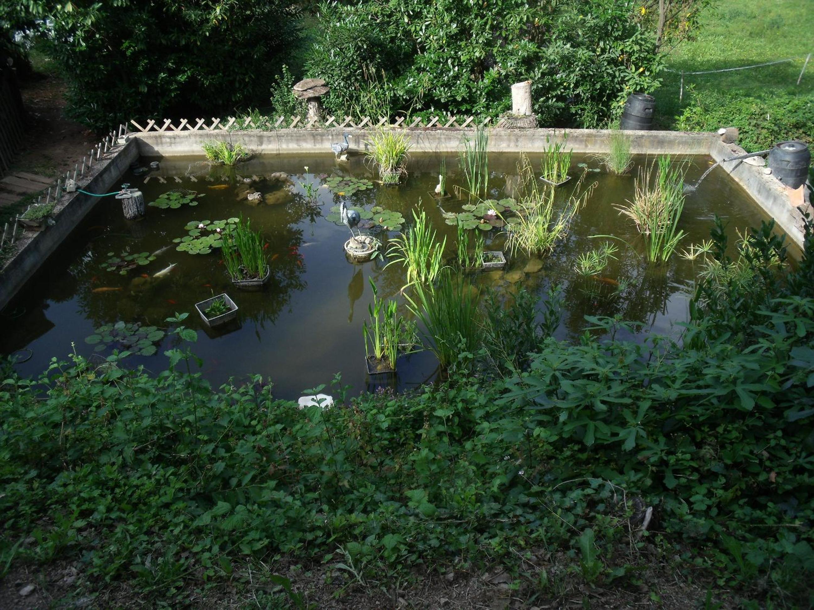 Photo 26