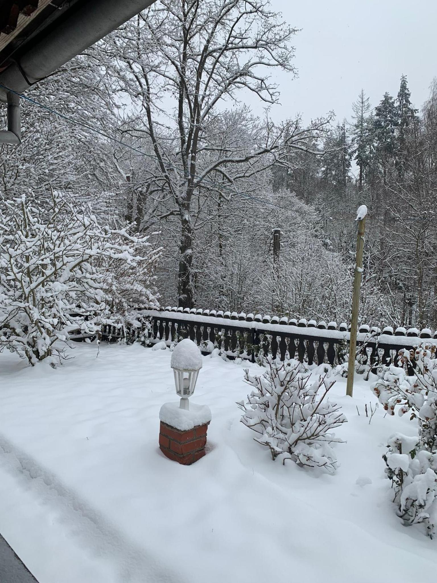 Ferienhaus Andrea am Bodetal