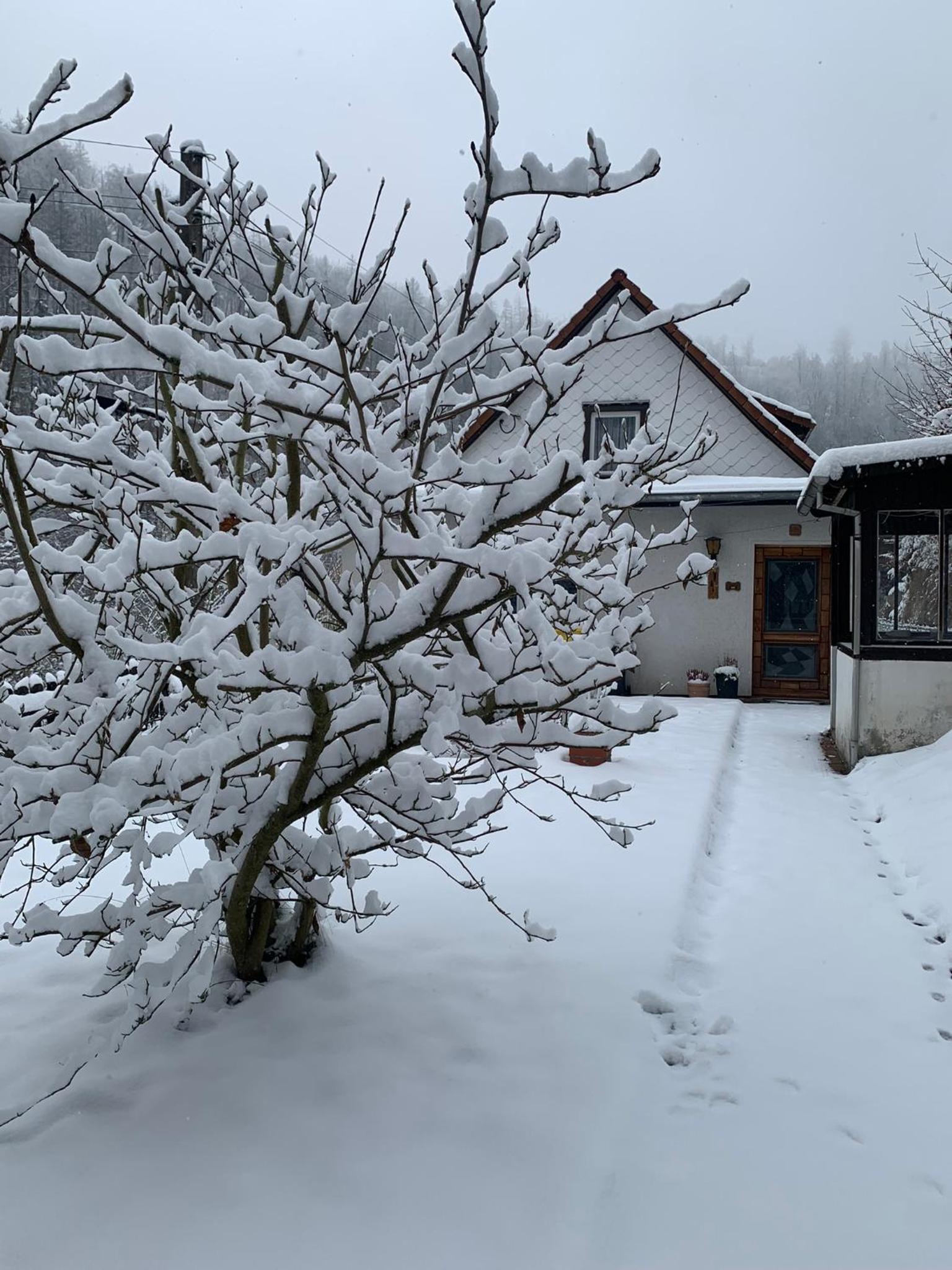 Ferienhaus Andrea am Bodetal