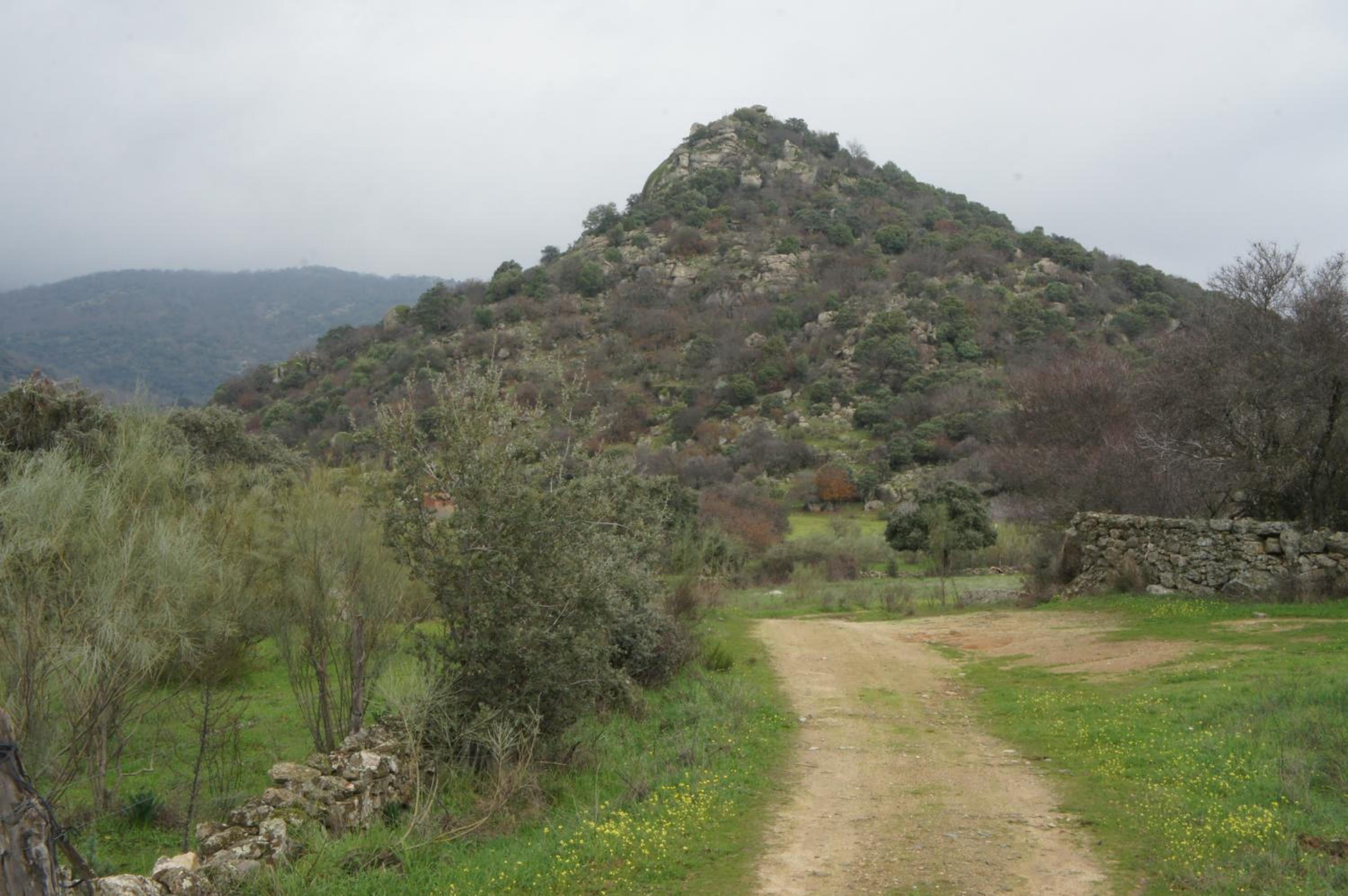 Photo 34