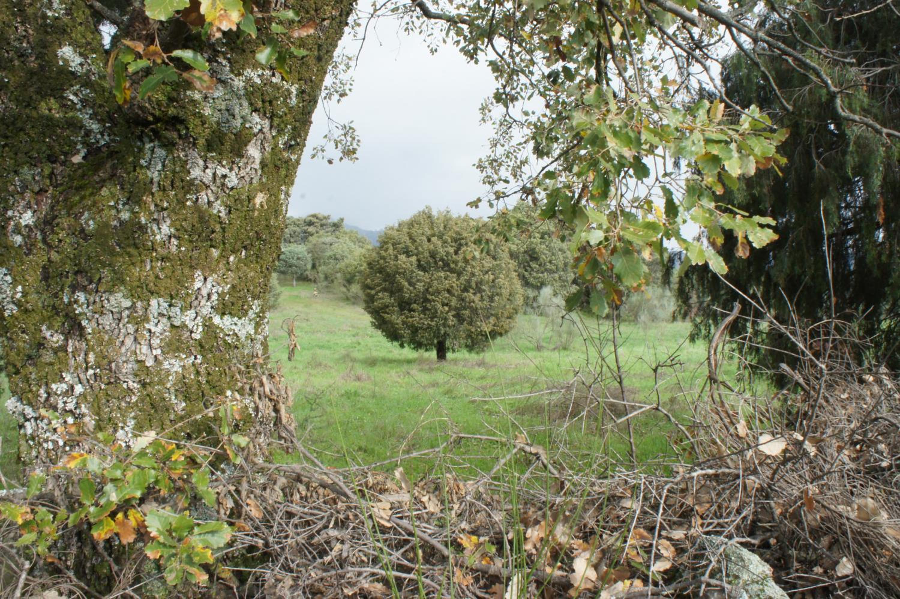 Photo 35