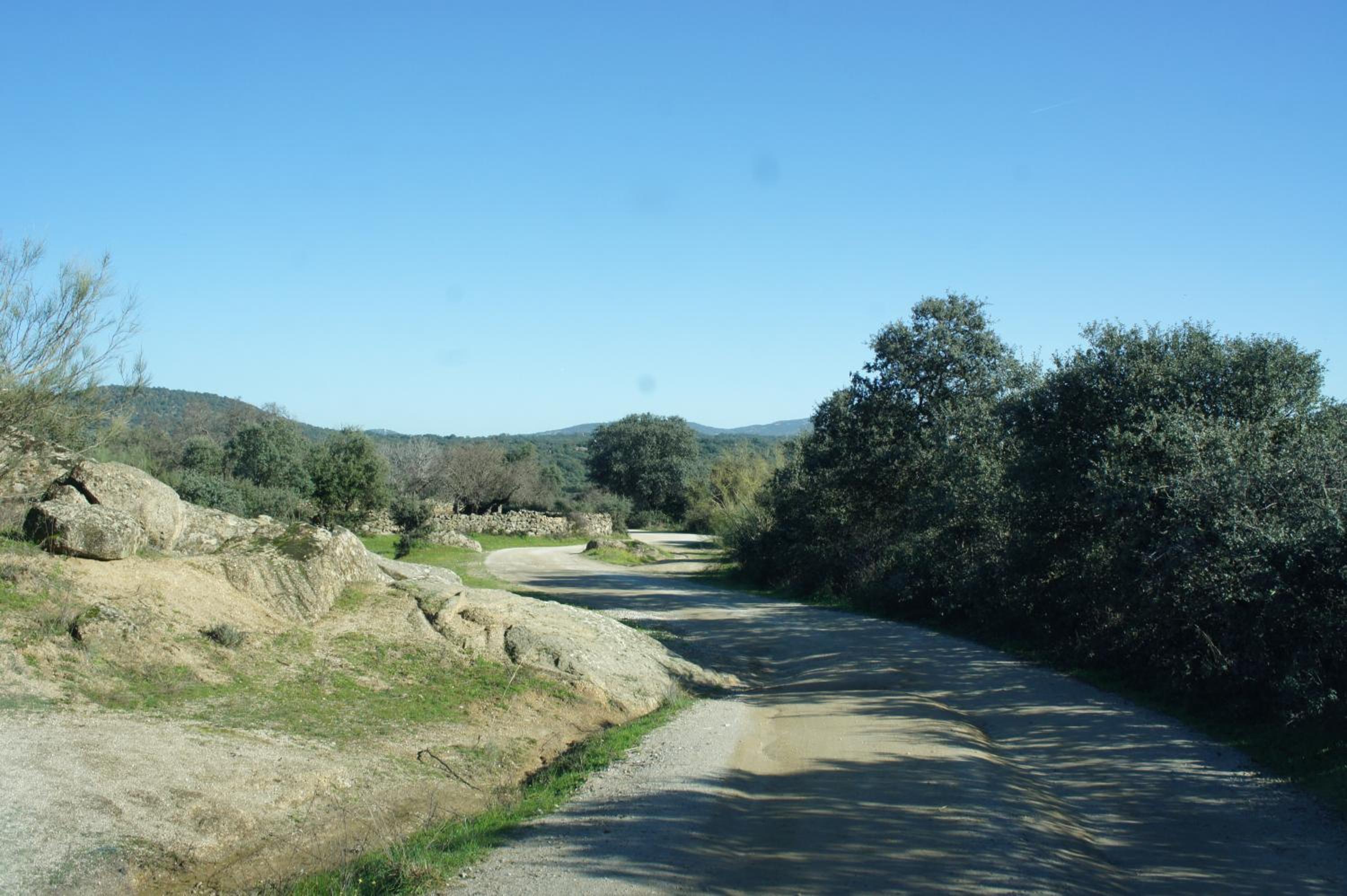 Photo 38