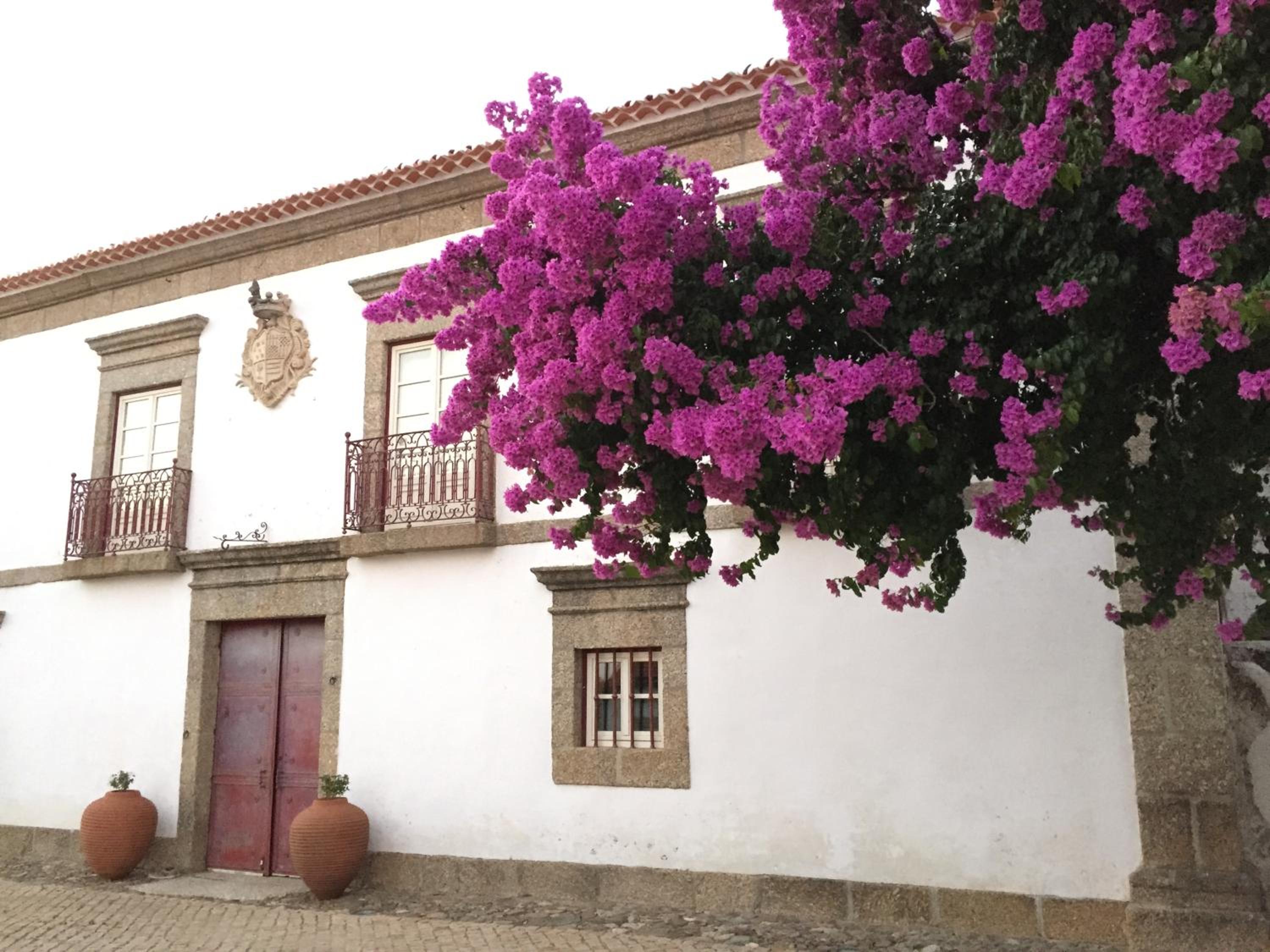 Quinta da Porta - Solar de Vale de Prazeres view 4