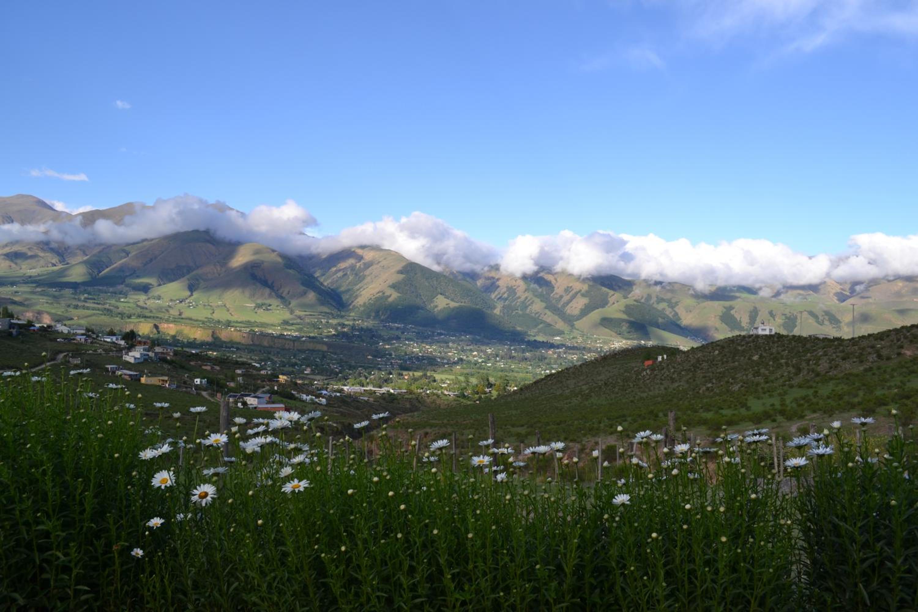 Aires del Alto - casas