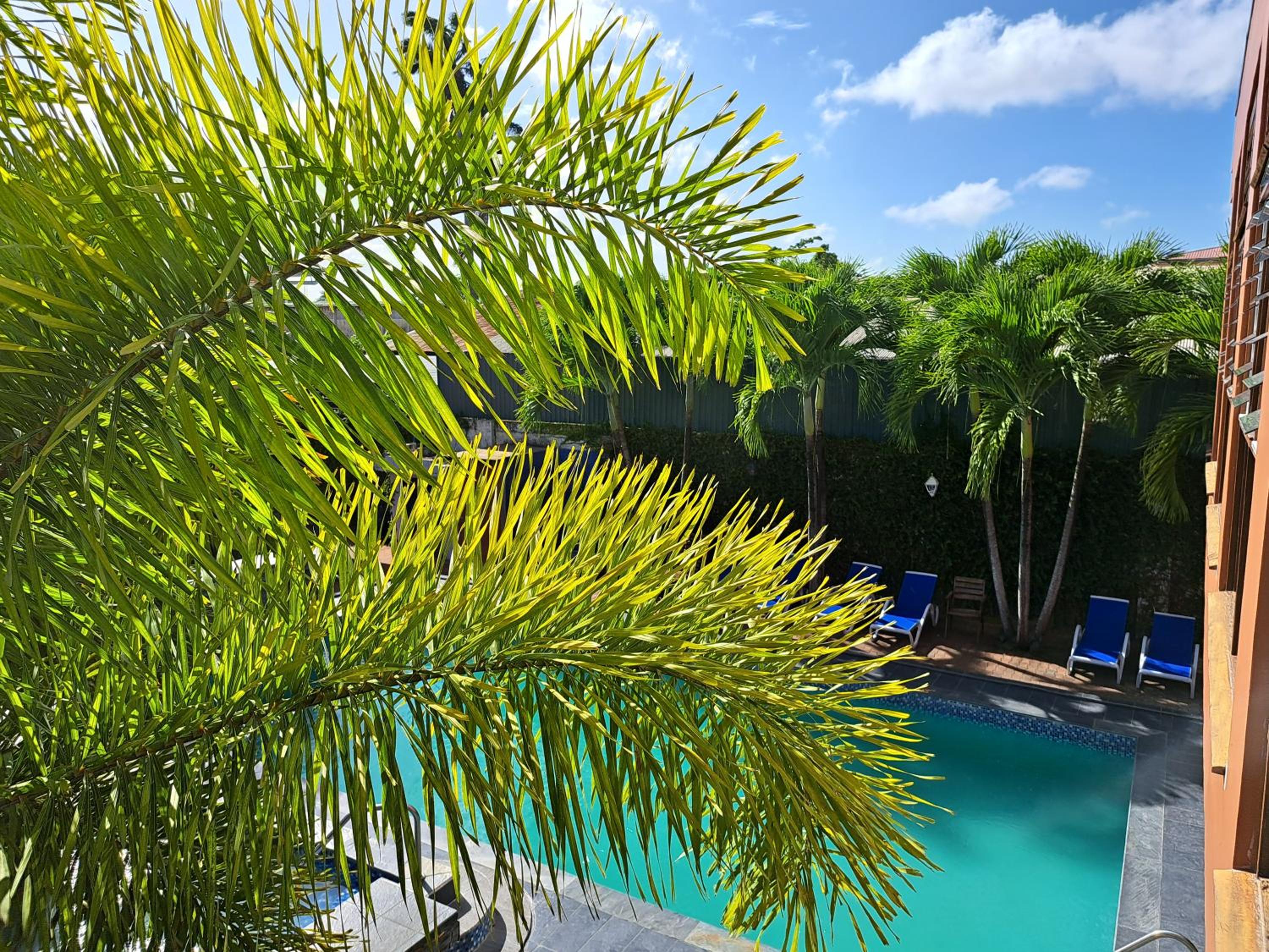 Pool & Wellness