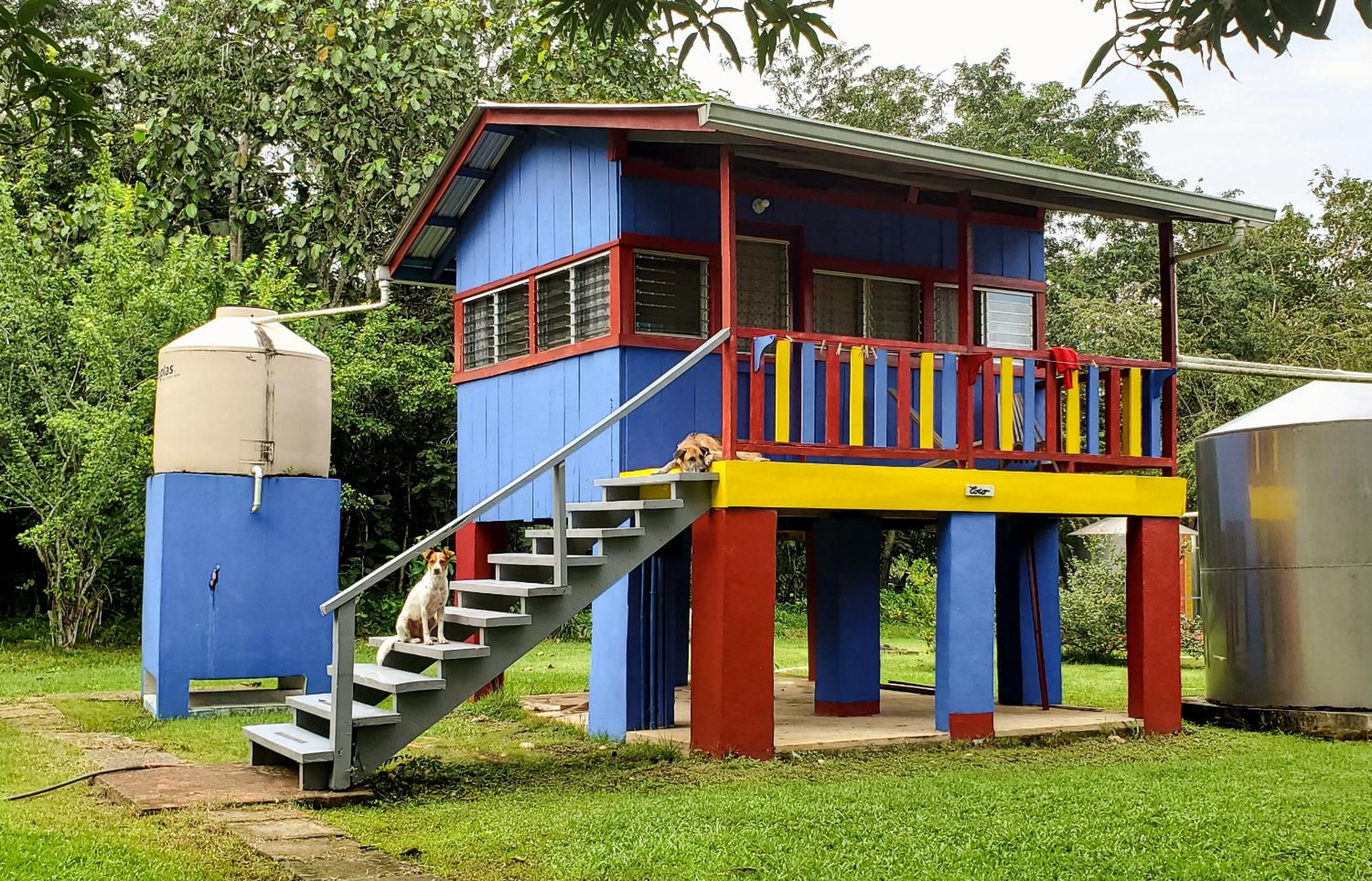 Lower Dover Jungle Lodge & Maya Ruins
