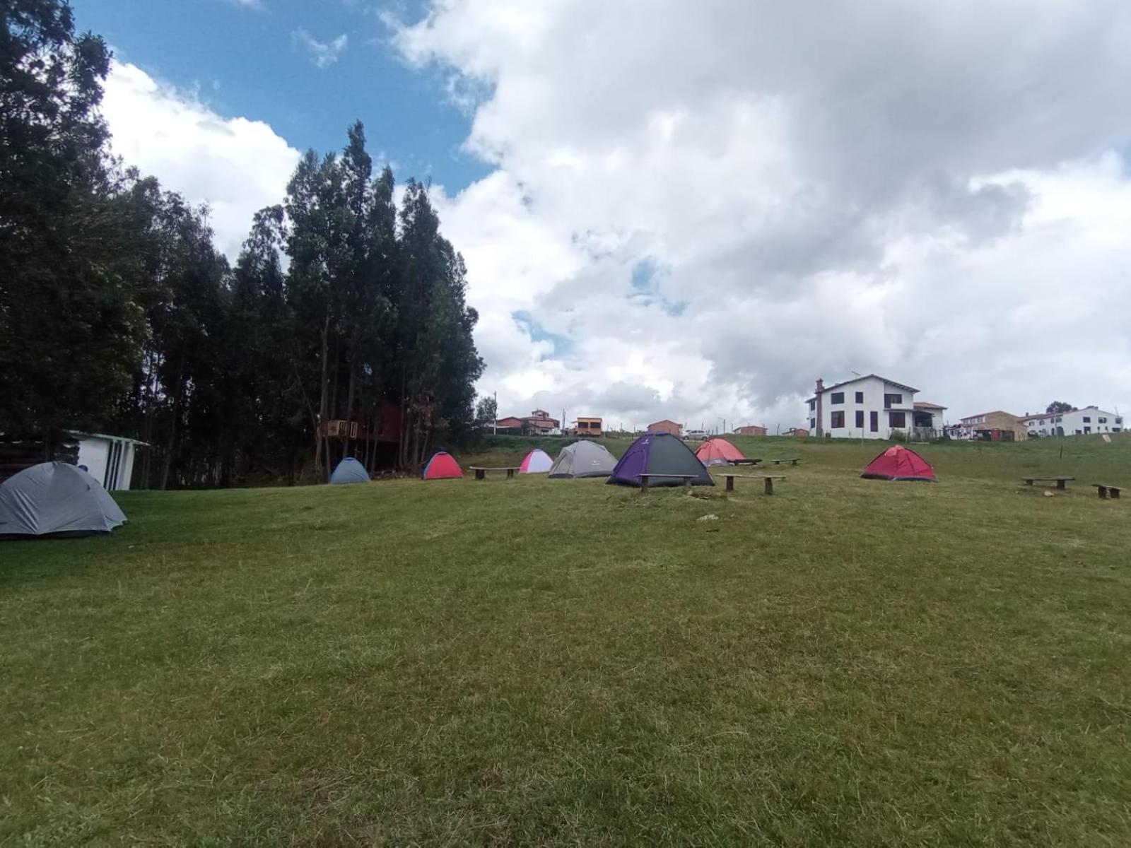 Camping Las Acacias view 4