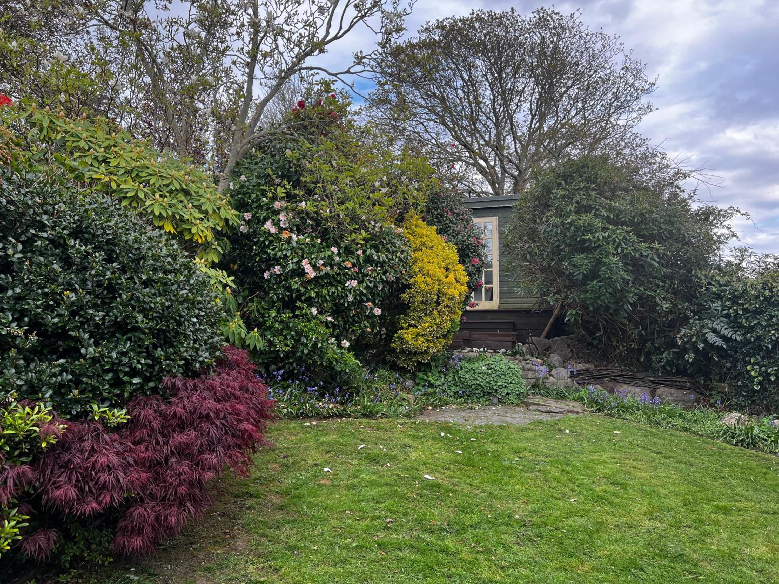 Photo 42