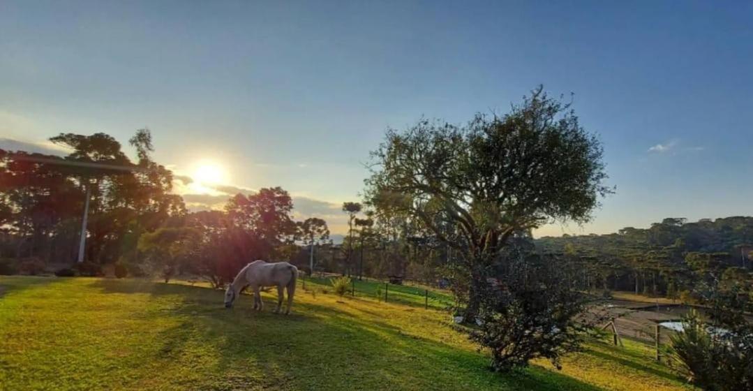 Pousada Recanto Das Araucárias