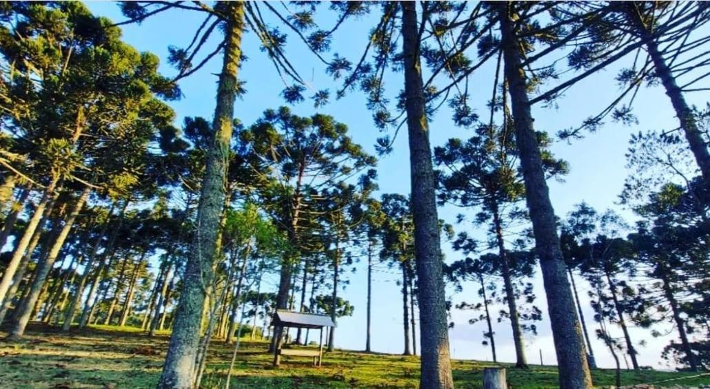 Pousada Recanto Das Araucárias