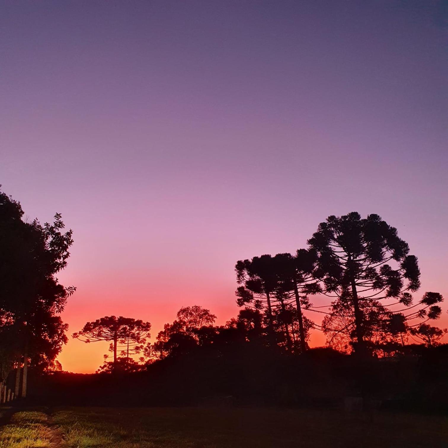 Pousada Recanto Das Araucárias