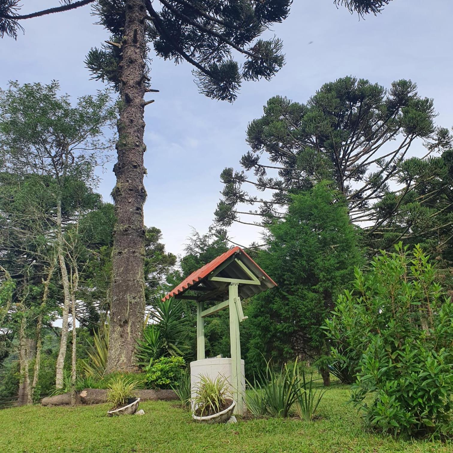Pousada Recanto Das Araucárias