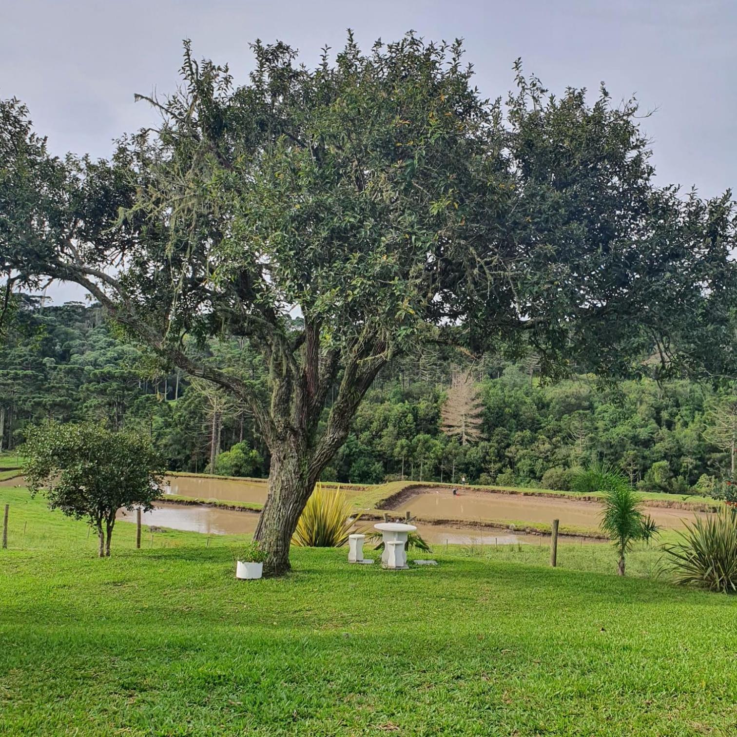 Pousada Recanto Das Araucárias