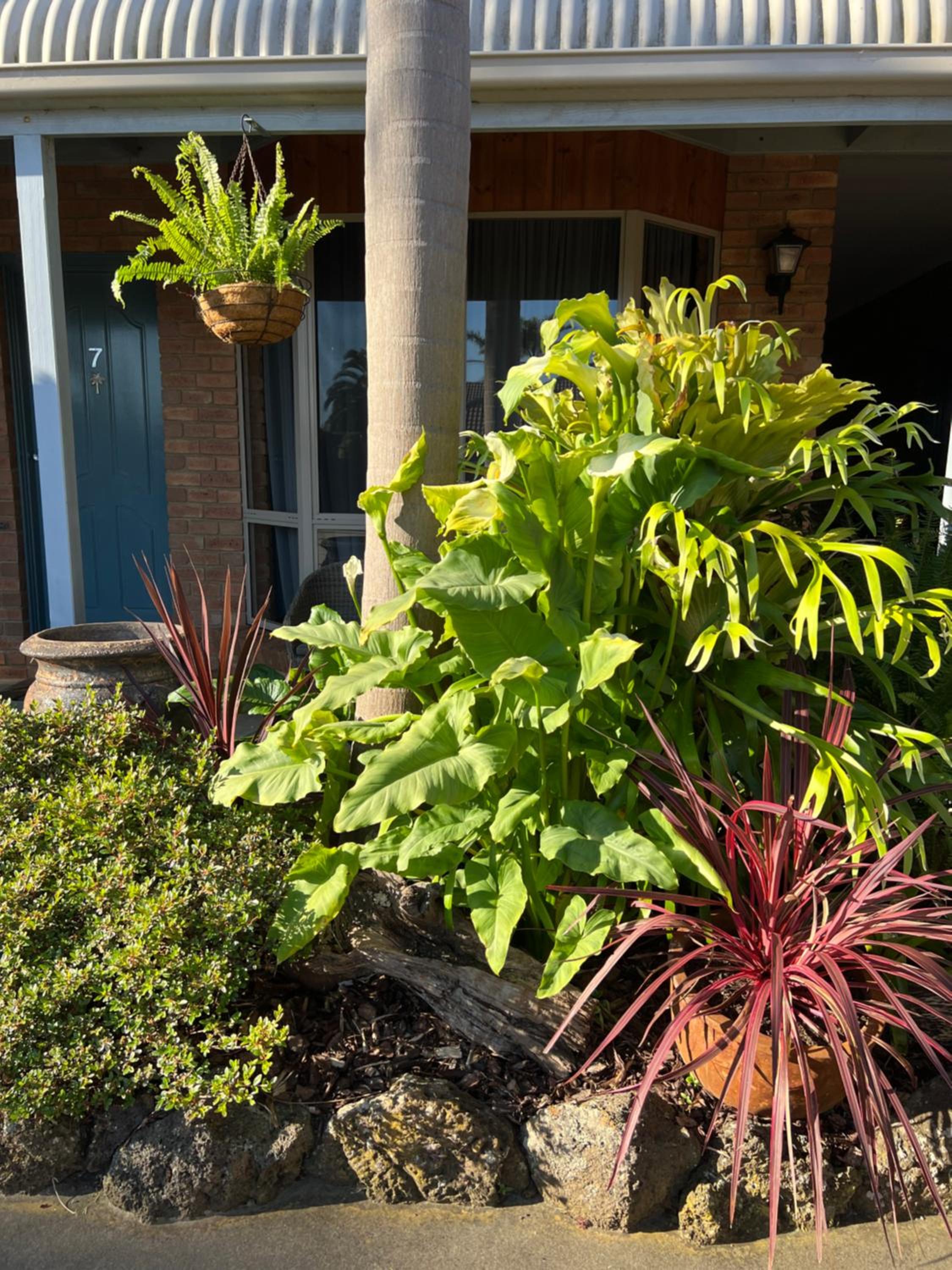 Coastal Waters Motor Inn - Property Image 33