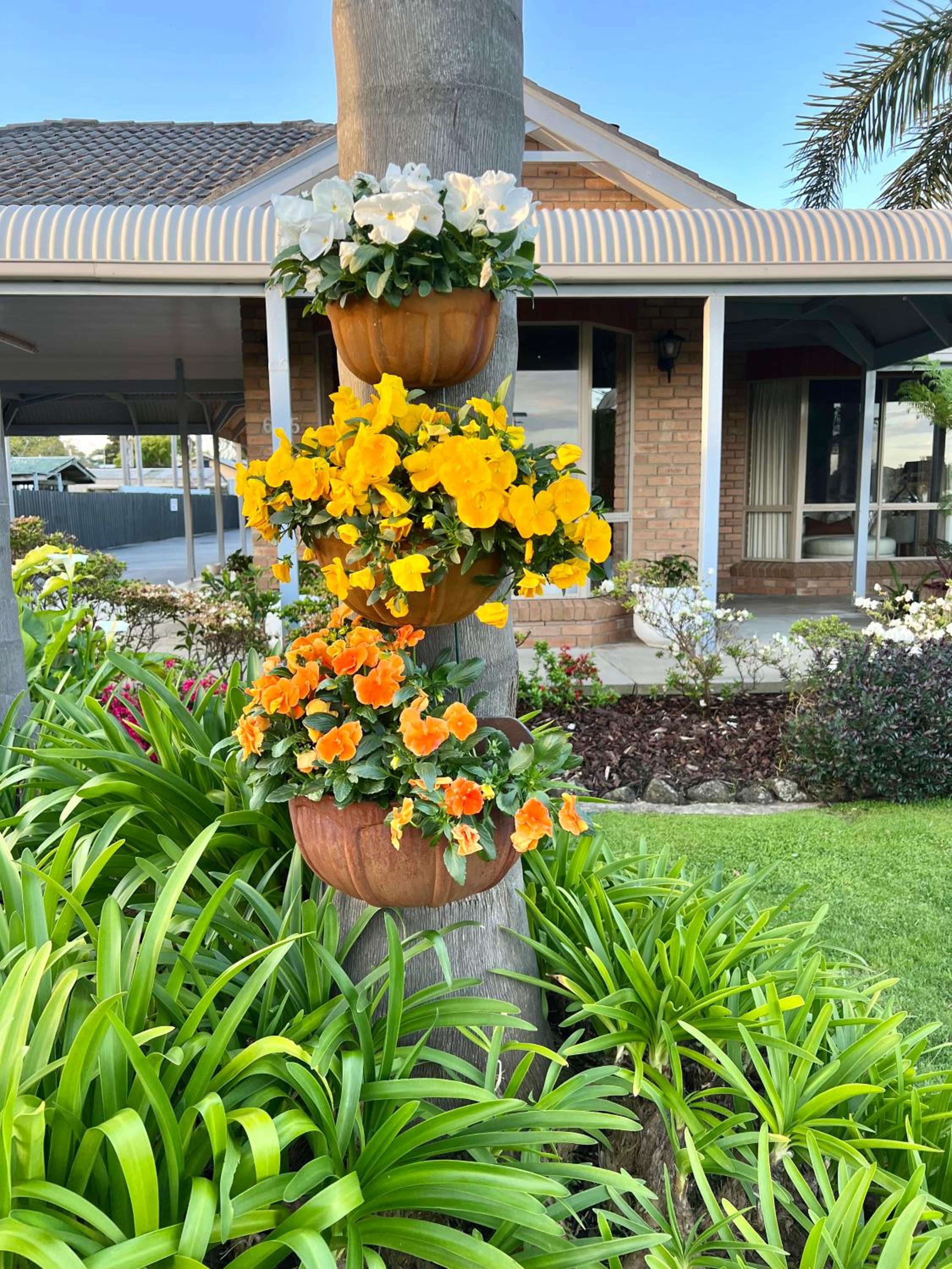 Coastal Waters Motor Inn - Property Image 16