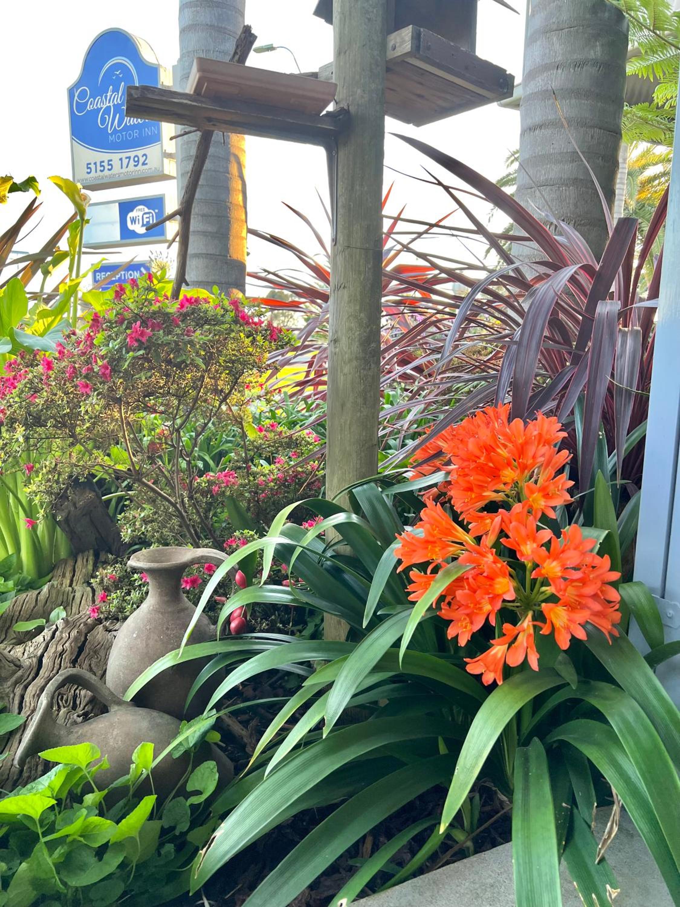 Coastal Waters Motor Inn - Property Image 30