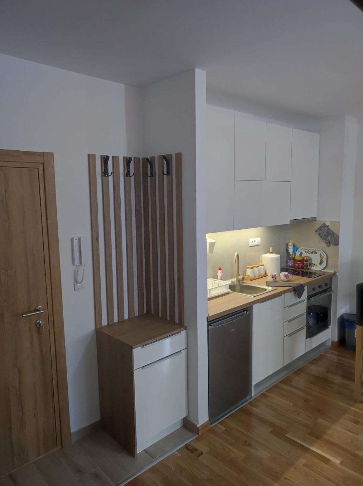 Apartman IKS-M & Spa view 4