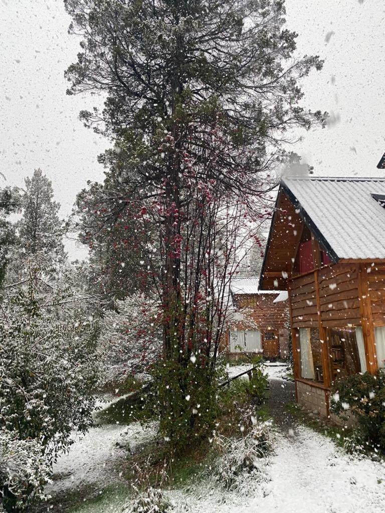Cabañas km7 Bariloche