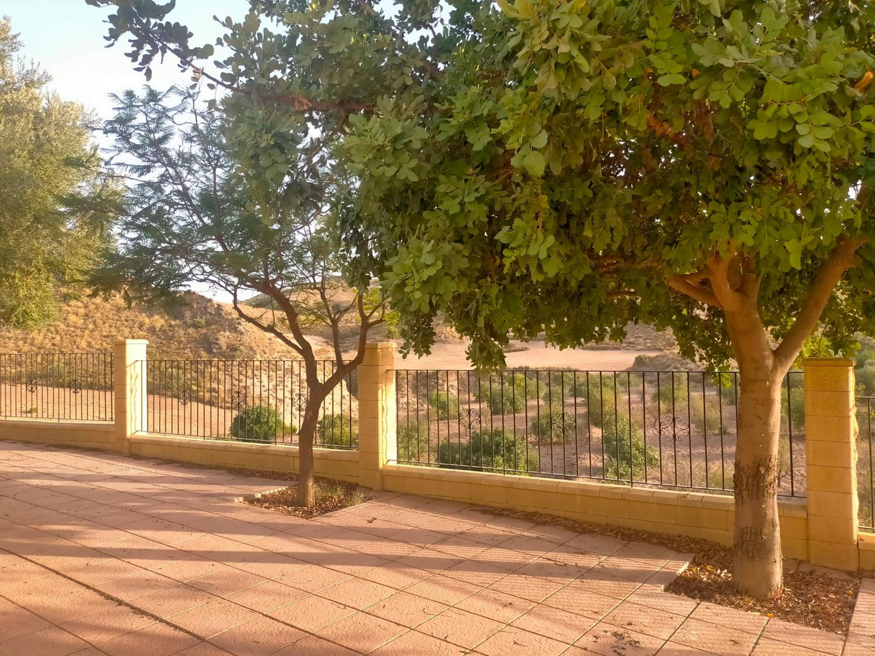 CORTIJO INFINITO