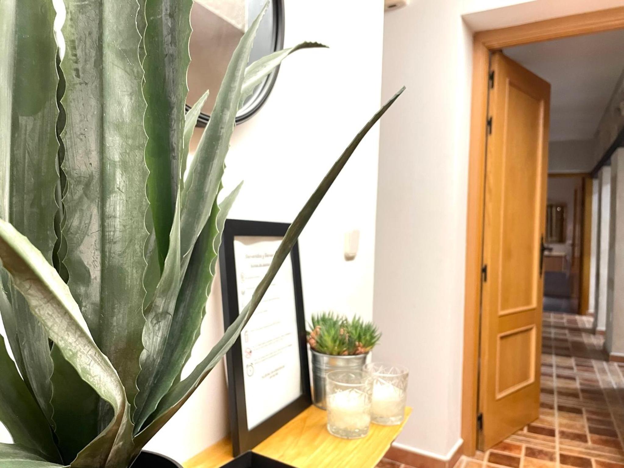 Alojamiento Retama Toledo