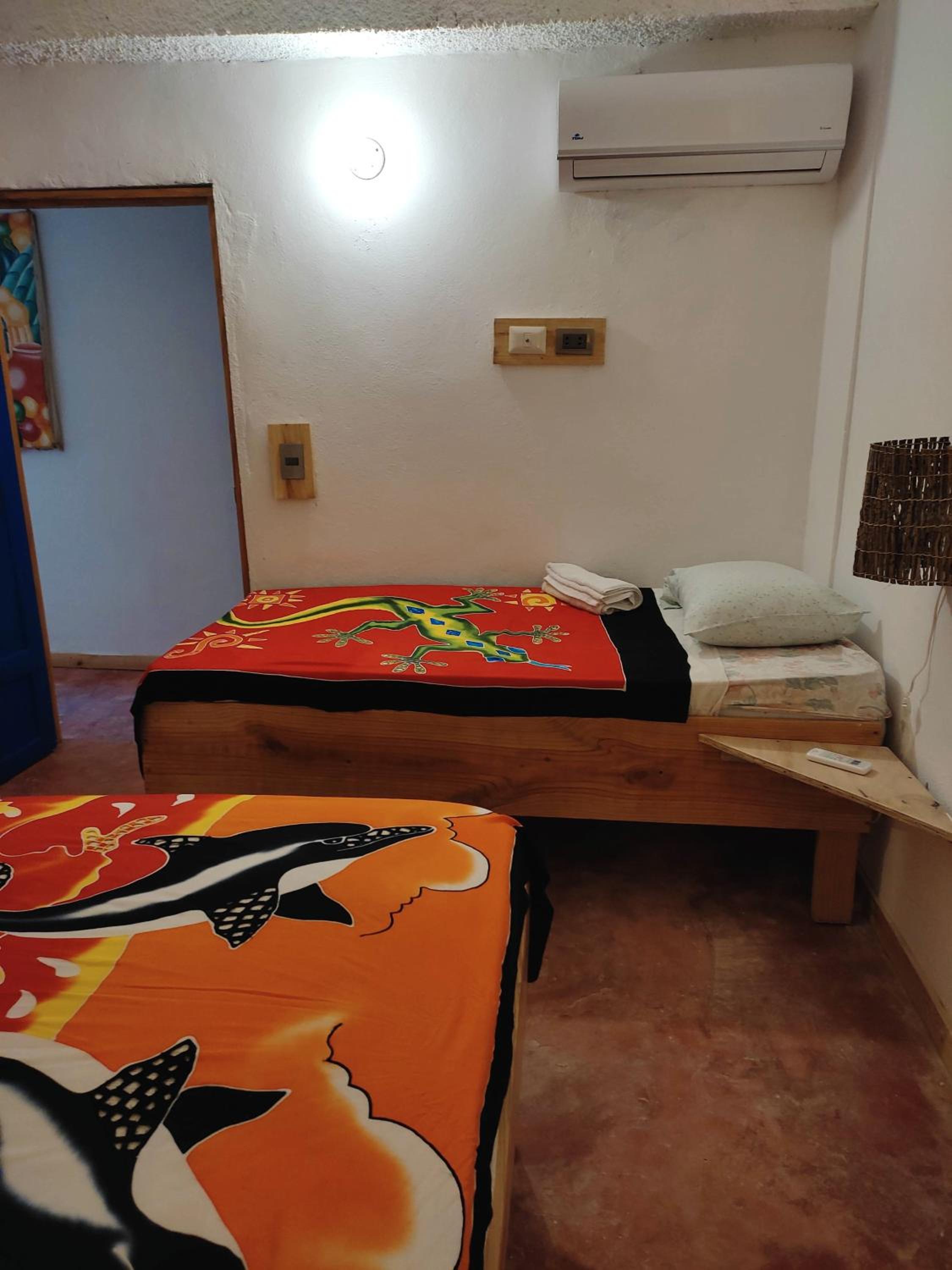 Hostel La Ballena Backpacker