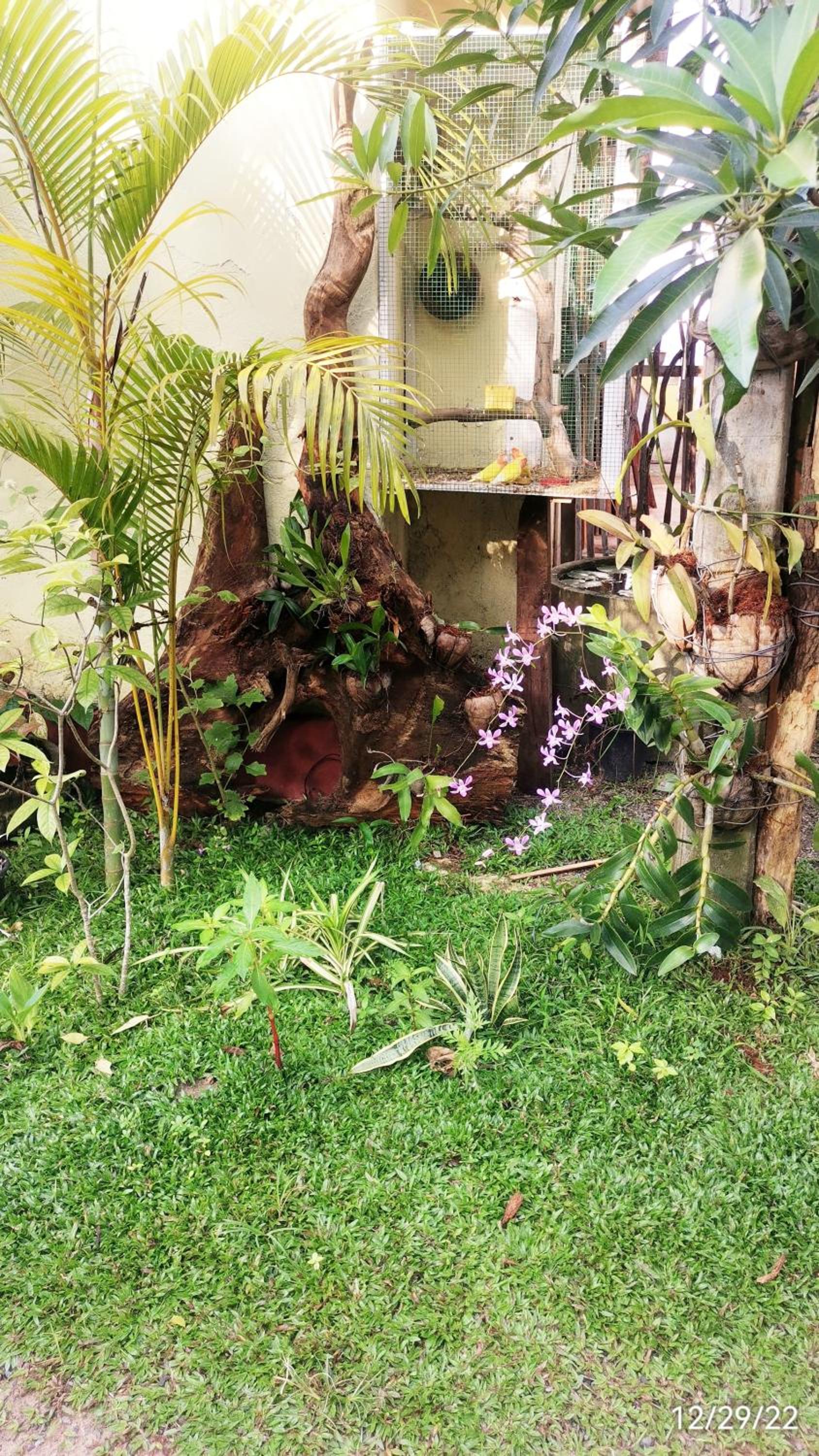 Nilupul Villa view 3
