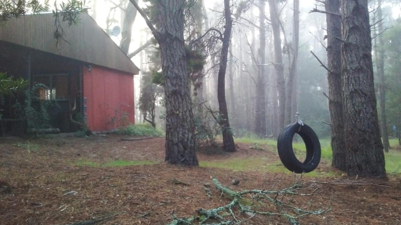 la casita del bosque