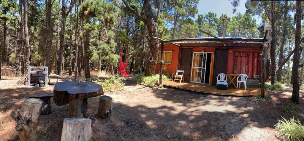la casita del bosque