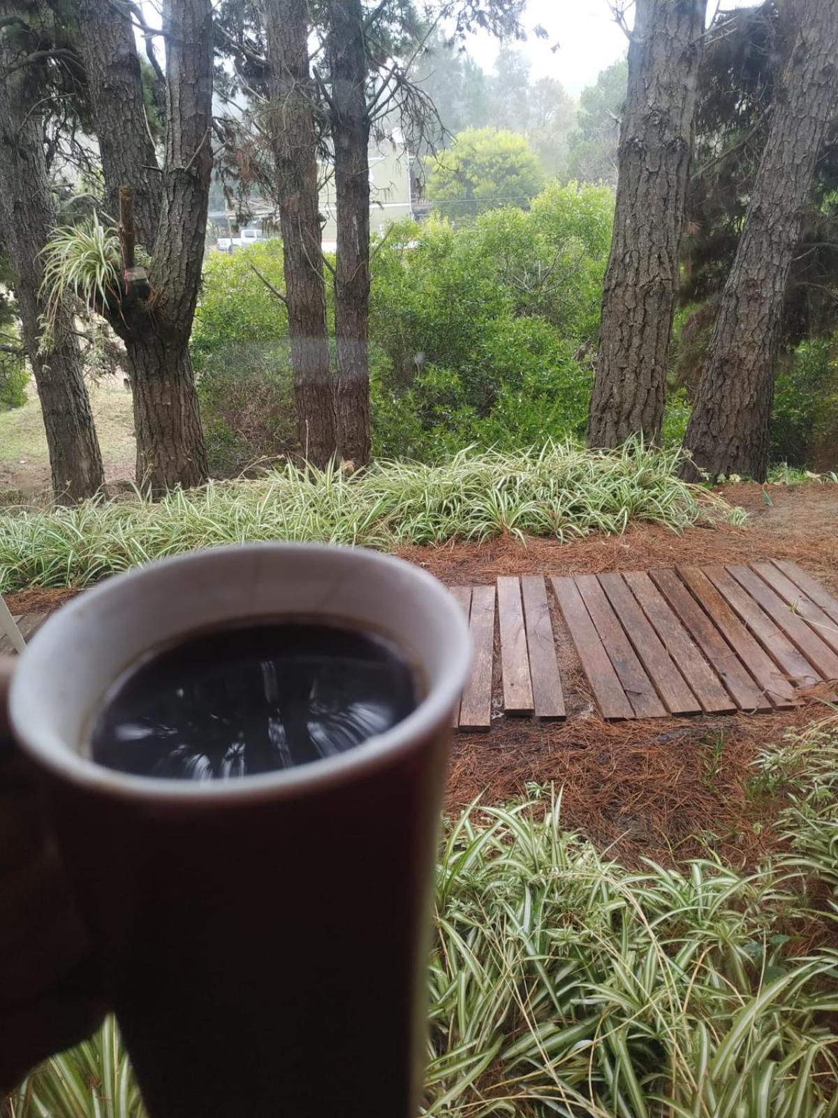 la casita del bosque